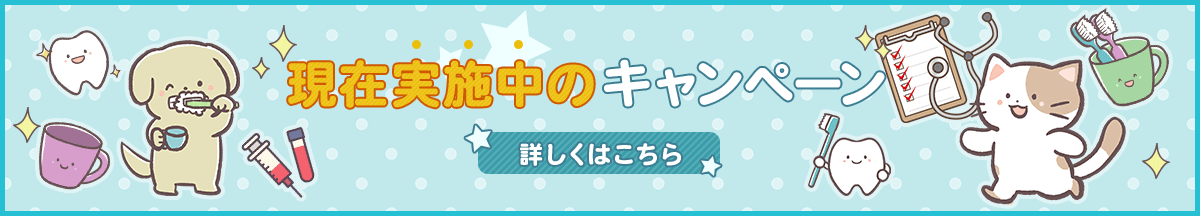 現在実地中のキャンペーン