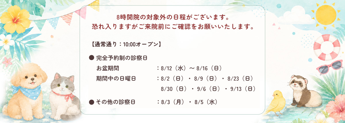 お知らせ