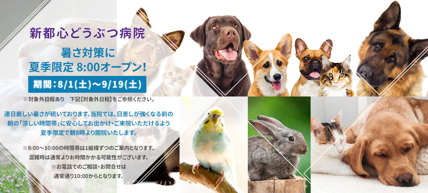 当院は飼い主さんに寄り添った提案型医療を実施しております