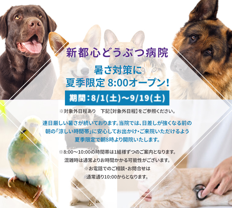当院は飼い主さんに寄り添った提案型医療を実施しております